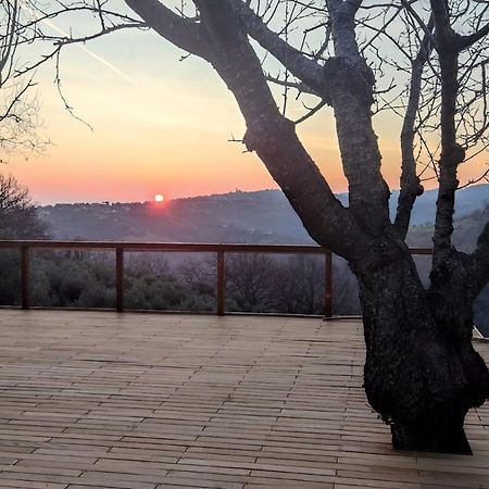 "Cara Pace" In Collina Per Famiglie Bed & Breakfast Montefiore Conca Dış mekan fotoğraf
