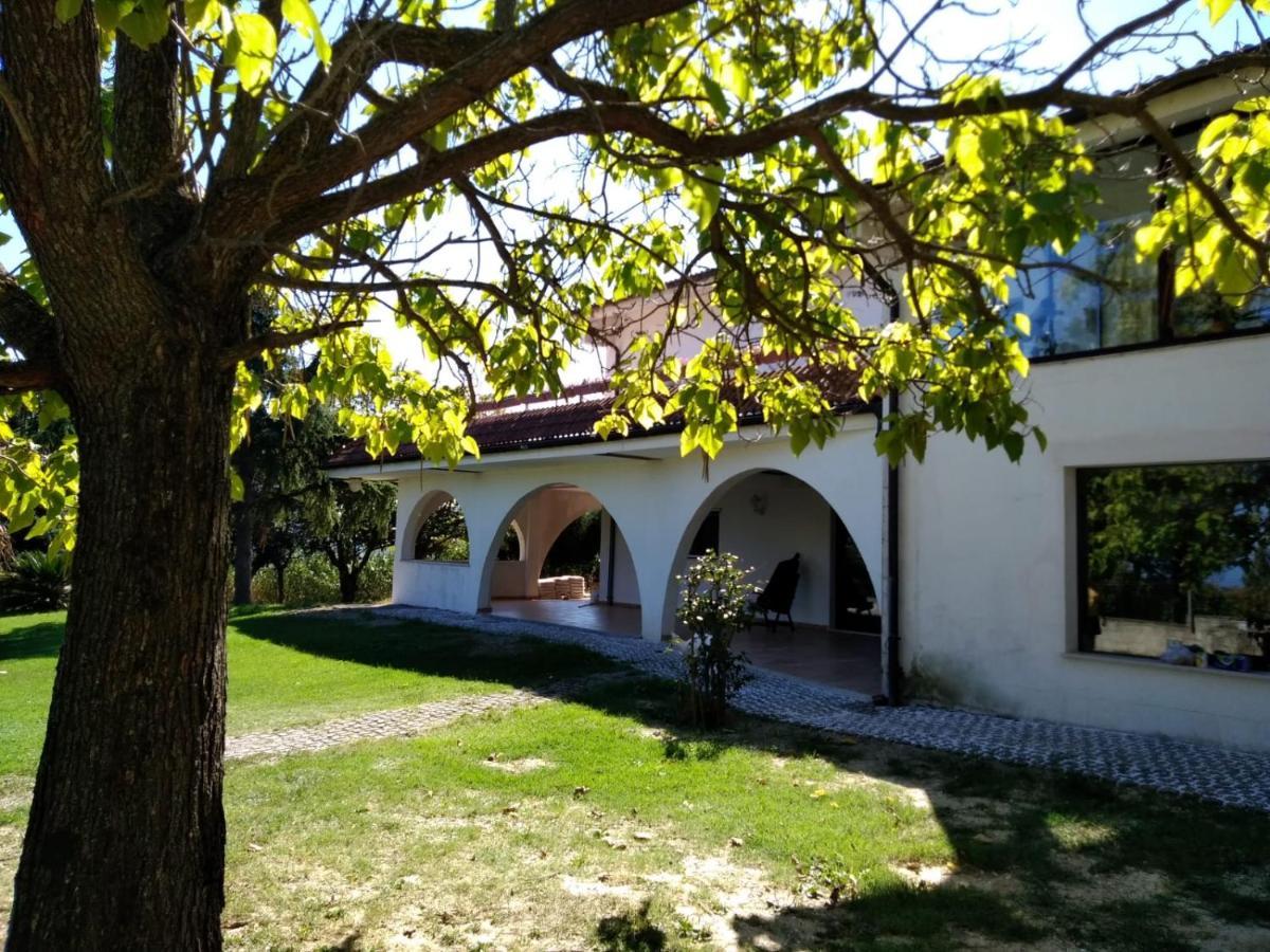 "Cara Pace" In Collina Per Famiglie Bed & Breakfast Montefiore Conca Dış mekan fotoğraf