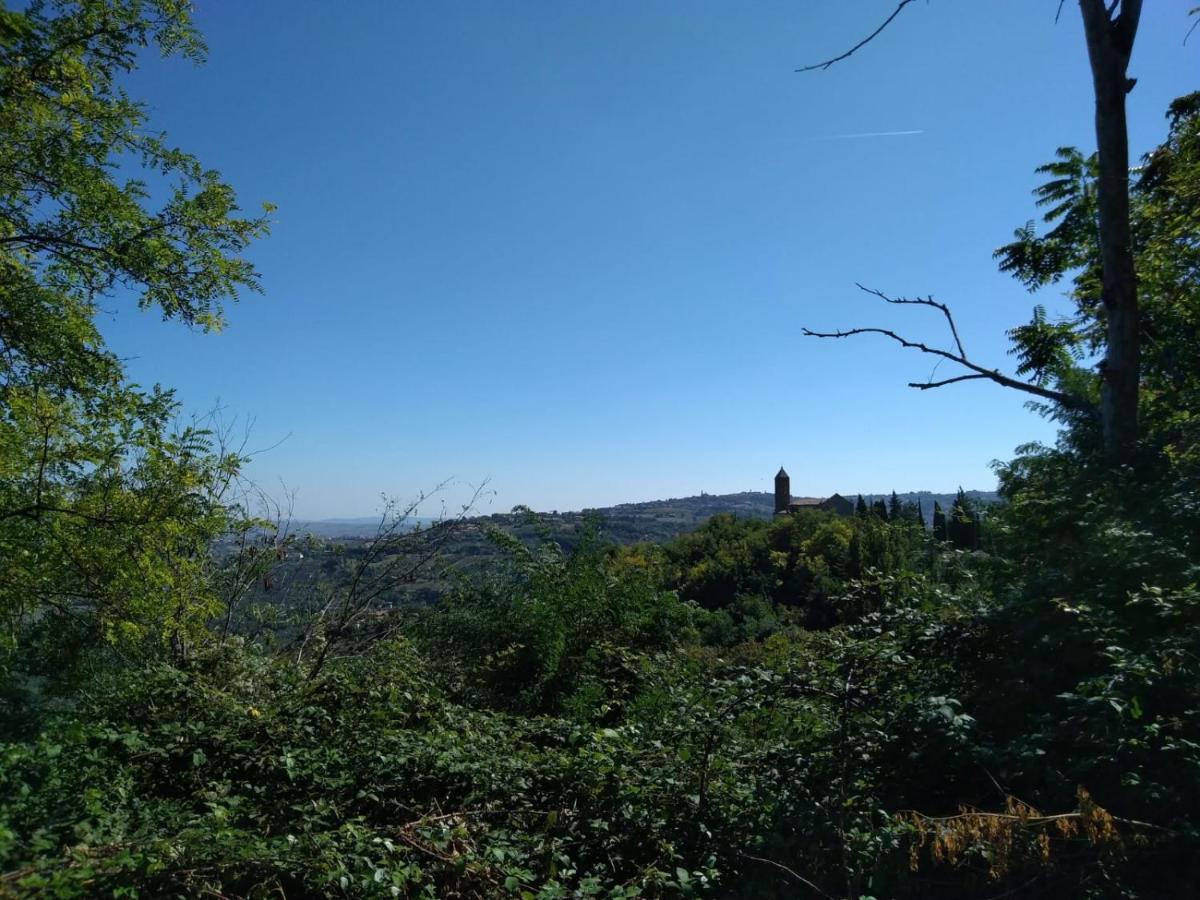 "Cara Pace" In Collina Per Famiglie Bed & Breakfast Montefiore Conca Dış mekan fotoğraf