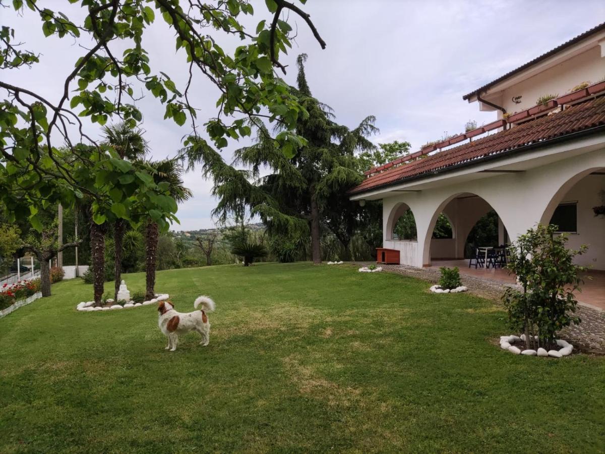 "Cara Pace" In Collina Per Famiglie Bed & Breakfast Montefiore Conca Dış mekan fotoğraf